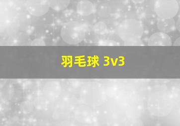 羽毛球 3v3